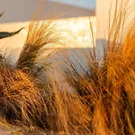 Aelo Mykonos パラダイスビーチ