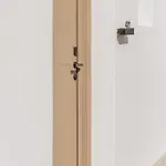 Aelo Mykonos ホテル 4*