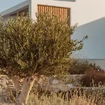 Aelo Mykonos パラダイスビーチ