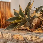 Aelo Mykonos Hotel 4*