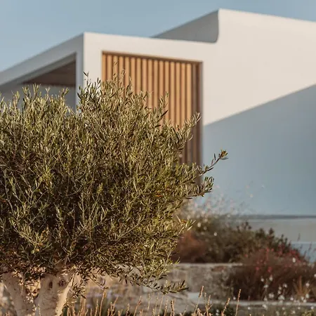 Aelo Mykonos Paradise Beach (Mykonos)