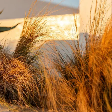 Aelo Mykonos Paradise Beach (Mykonos)