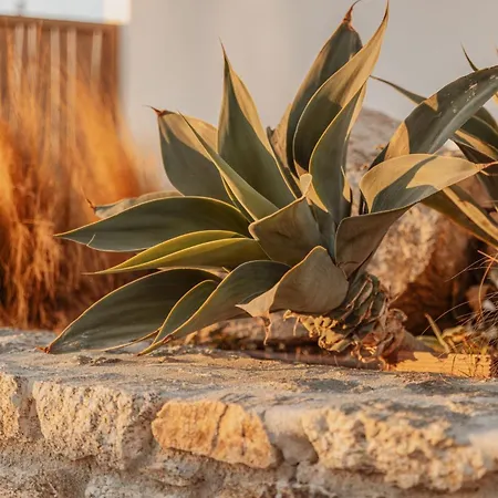 Aelo Mykonos Hotell 4*