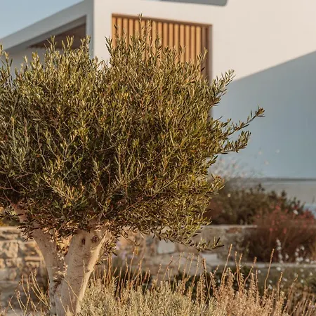 Aelo Mykonos パラダイスビーチ