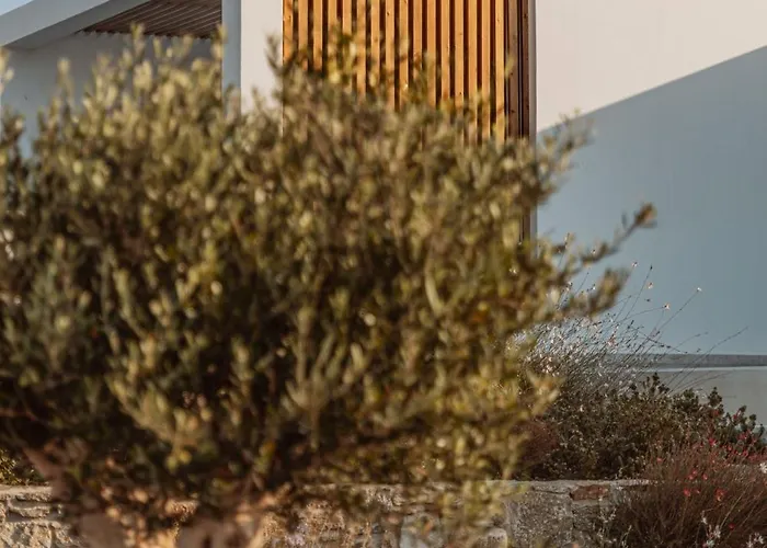 Aelo Mykonos Hotel 4*