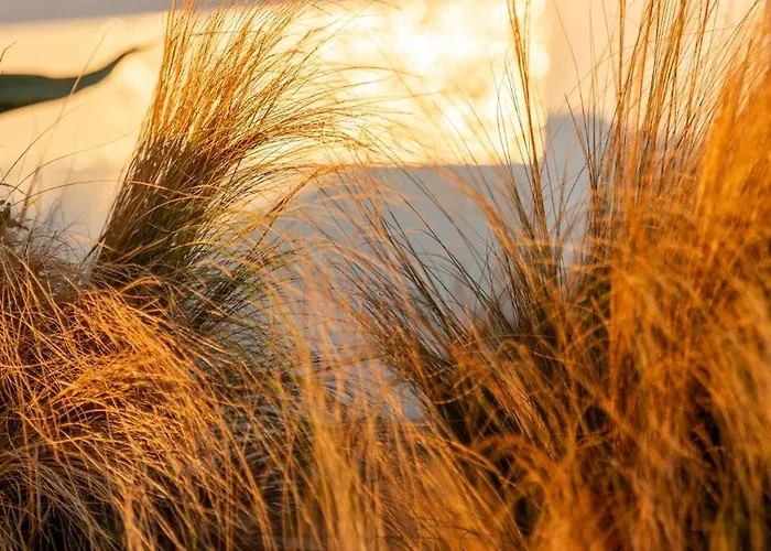 Aelo Mykonos Παραλία Paradise